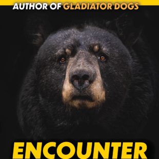 Encounter: The Black Bear and Man