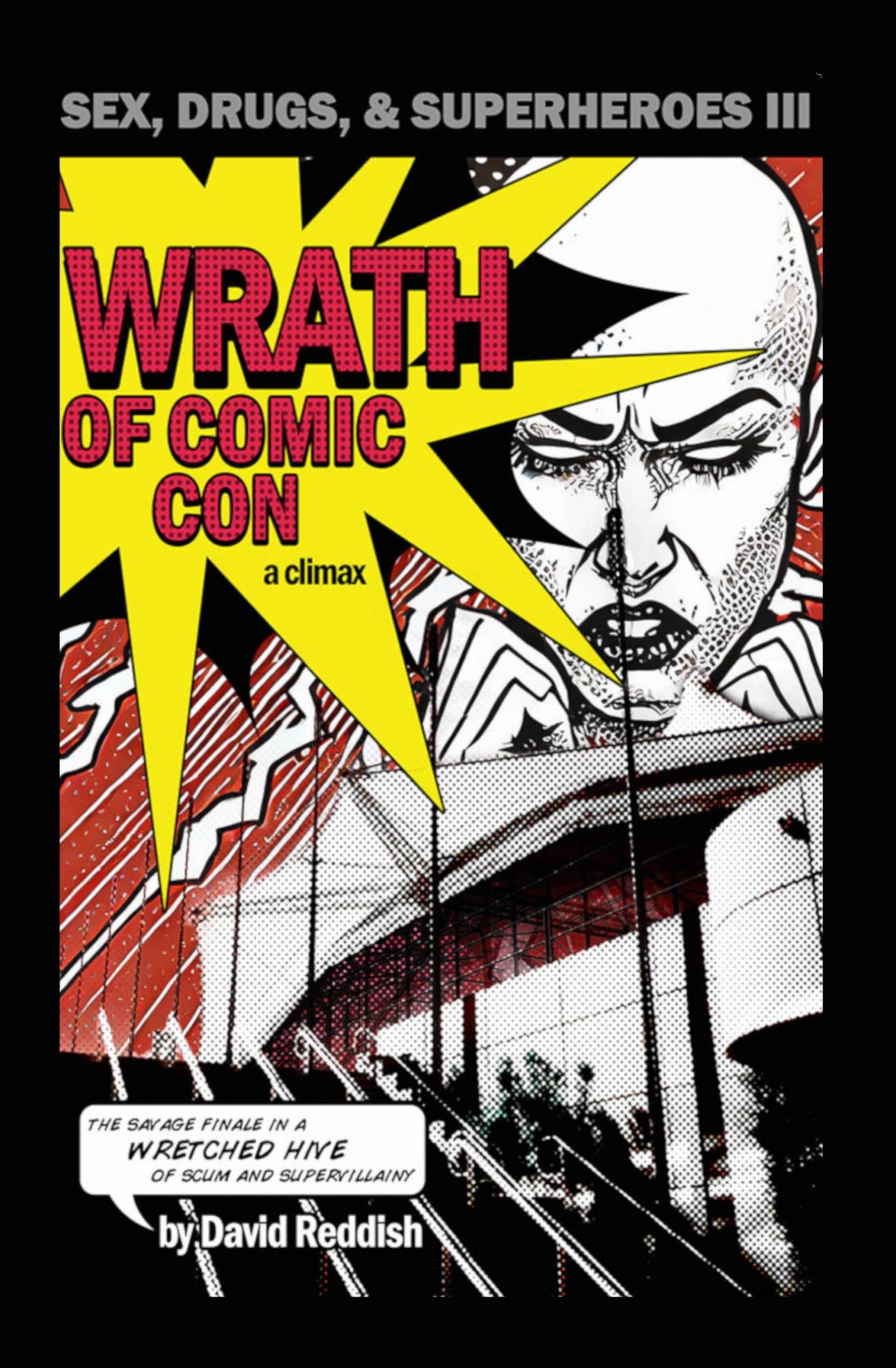 240306-cover-hardcover-sds3
